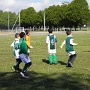 Plateau Volgelsheim avril 2017 (7)