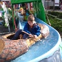 Fete foraine colmar 2017 (3)