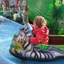 Fete foraine colmar 2017 (4)