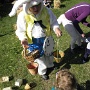 Chasse aux oeufs a ottrott 2017 (11)