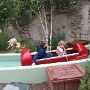 EUROPAPARK juillet 2017 (13)