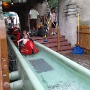 EUROPAPARK juillet 2017 (7)