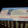 Aout 2018 (19)