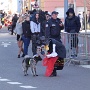 CARNAVAL DE COLMAR (11)