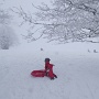 Luge au Markstein en fev 2018 (17)