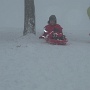Luge au Markstein en fev 2018 (7)