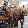 CARNAVAL COLMAR 2019 (6)