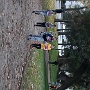 Course ELA valentin (9)