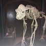 EUROPA-PARK 2019 (63)