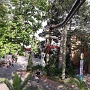 EUROPA-PARK 2019 (67)