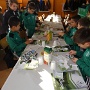 GALETTE DES U11-U13 ASA 2019 (19)