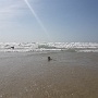 Carcans-Plage (14)