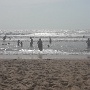 Carcans-Plage (20)