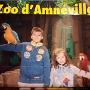 ZOO AMNEVILLE 2019 (2)