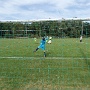 Amical U13-2ASA VS U13F SRCOLMAR (3)