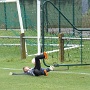 Coupe U13-2 ASA VS SR COLMAR 2 (10)