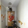 Halloween 2021 (1)