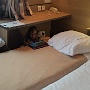 2-Ace Hotel Montlucon voyage Aller (2)