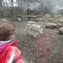 Zoo Mulhouse 2021 (12)