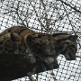 Zoo Mulhouse 2021 (16)