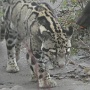 Zoo Mulhouse 2021 (17)