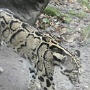 Zoo Mulhouse 2021 (18)