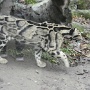 Zoo Mulhouse 2021 (19)
