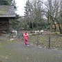 Zoo Mulhouse 2021 (20)