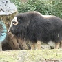 Zoo Mulhouse 2021 (7)