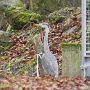 Zoo Mulhouse 2021 (8)