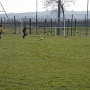 FC RIQUEWIHR vs ASA U13-2 MARS 2022 (17)_resultat