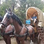 JOURNEE A NIGLOLAND 2022 (10)