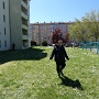 CHASSES AUX OEUFS COLMARIENNES (11)