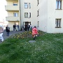 CHASSES AUX OEUFS COLMARIENNES (2)
