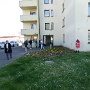 CHASSES AUX OEUFS COLMARIENNES (3)