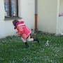 CHASSES AUX OEUFS COLMARIENNES (6)