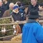 FOIRE AUX ANDOUILLES 2023 (12)