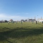 Reprise en amical vs Bantzenheim (4)