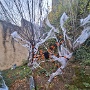 HALLOWEEN 2023 (15)
