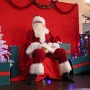 ARBRE NOEL GIE 2024 (17)