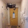 Halloween 2024 (1)