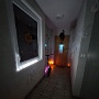 Halloween 2024 (7)