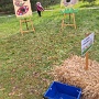 CHASSE AUX OEUFS OTTROTT 2024 (14)