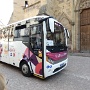 RELAIS FLAM JOP COLMAR (5)