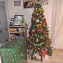 DEC 2025 (3)