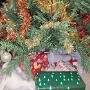 DEC 2025 (4)