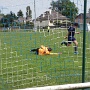 U18Horbourg_vs_Dachstein_Avnt_derniere_journée (20)