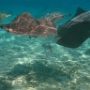 LAGOONARIUM BORA (10)