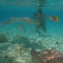 LAGOONARIUM BORA (12)