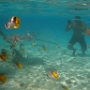 LAGOONARIUM BORA (13)